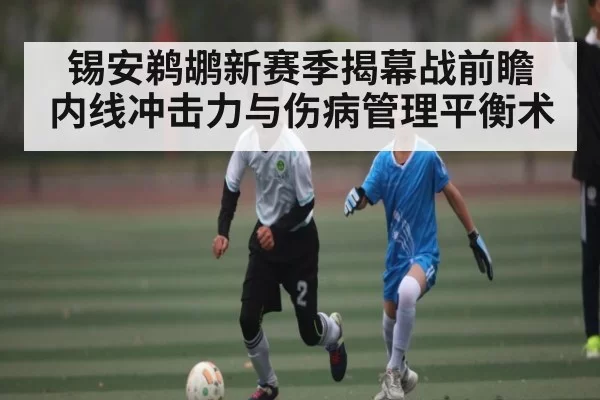 锡安鹈鹕新赛季揭幕战前瞻 内线冲击力与伤病管理平衡术